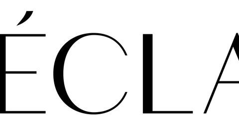 Parduodama veikiantis internetinis puslapis (www.leclat.lt)