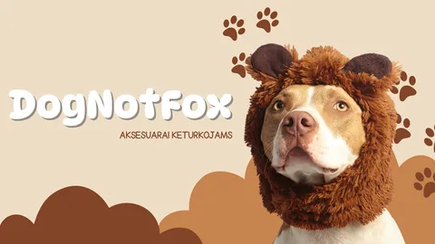Personalizuotų aksesuarų šunims verslas - DogNotFox
