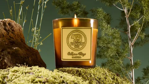 PARDUODAMA ŽVAKIŲ E-PARDUOTUVĖ WHIF.STORE!