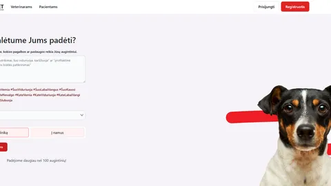 Ieškomas verslo partneris projektui sosvet.lt