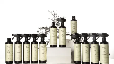 Profesionalios valymo priemonės