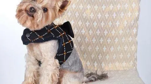 Parduodu LT rūbai šunims Facebook profilį ir elektroninę parduotuvę